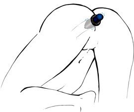 Otwarty korek analny plug tunel sex zatyczka 10cm