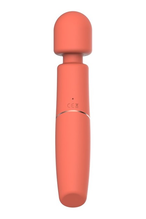 CHARISMATIC CLARISSA