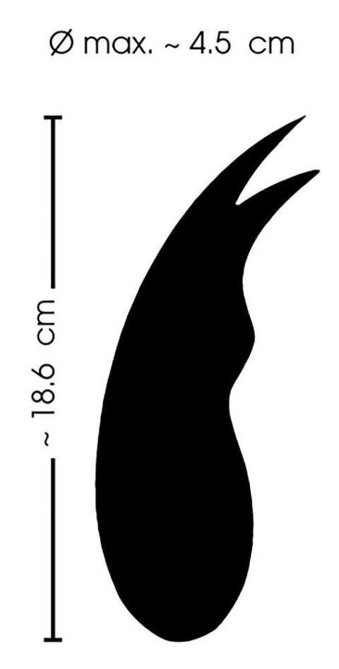 Wibrujący masażer stymulator do łechtaczki 10 tryb